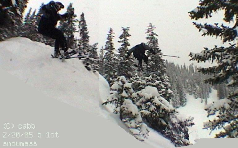 over a tree sequence