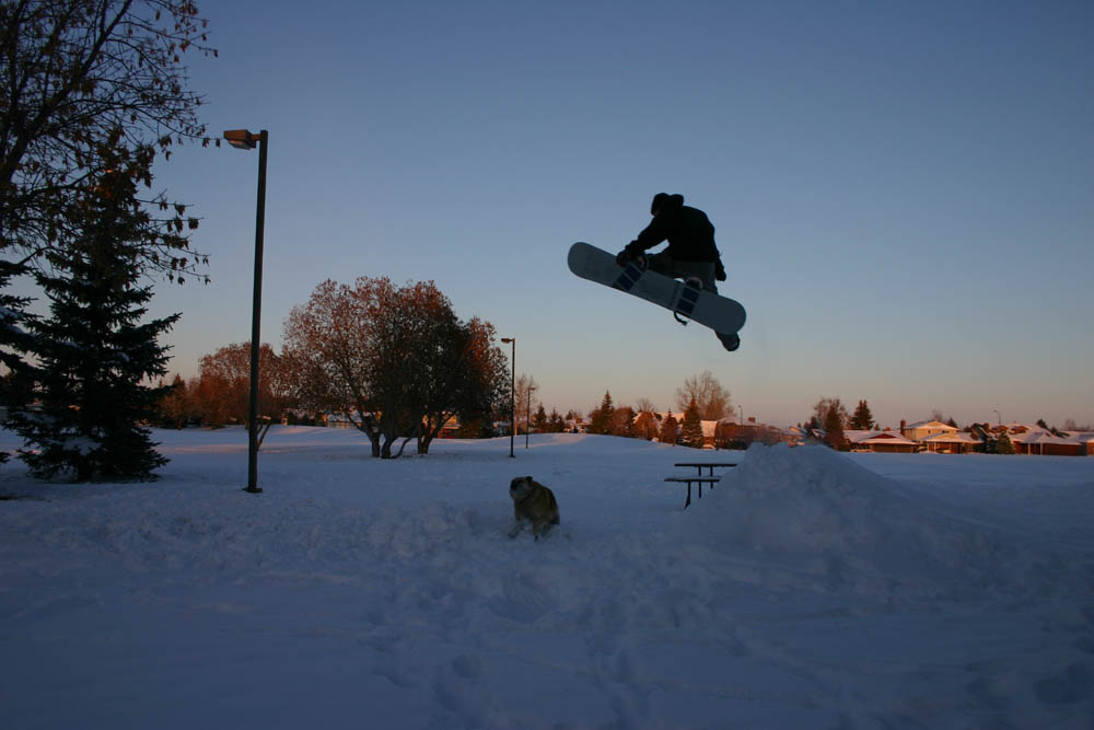 Over the Dog with one foot on