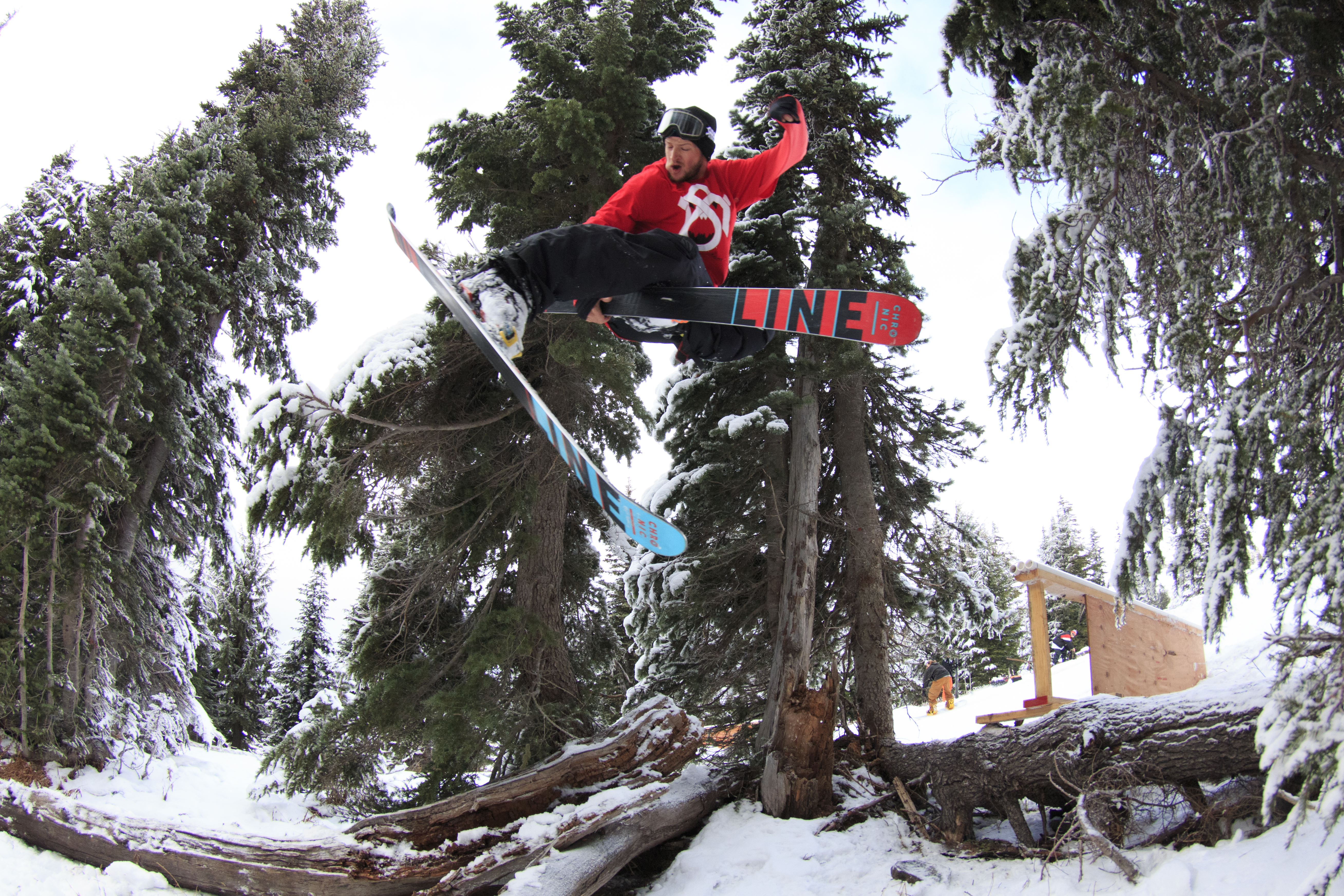 Over the Rail and Through the Woods