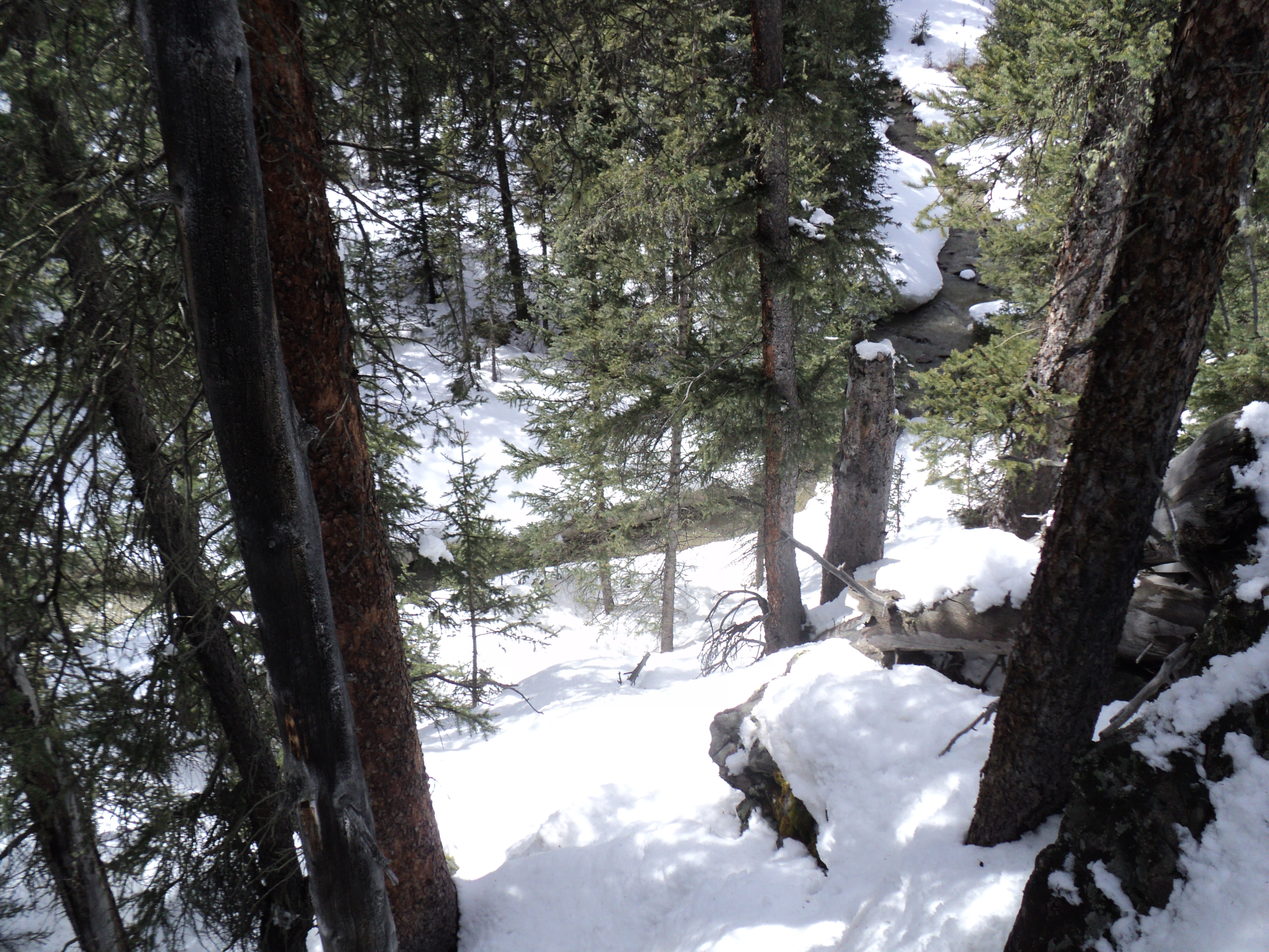 Over the river and through the woods