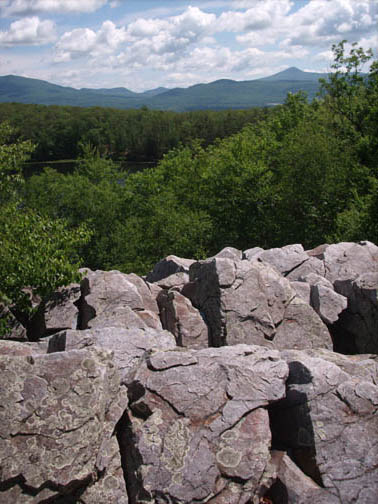 Overlook Trail - Pine Hill Park