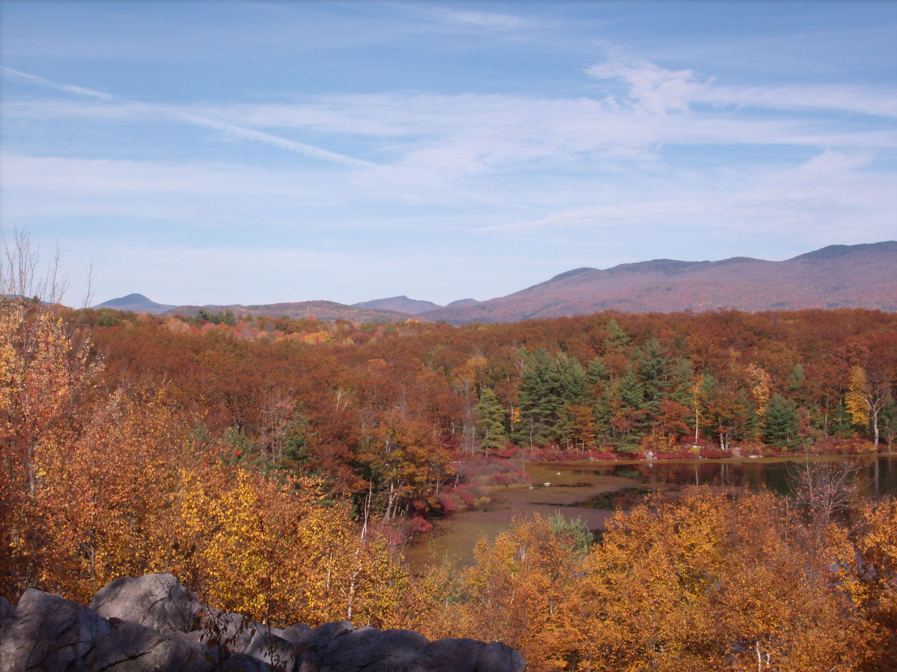 Overlooking Rocky Pond in Autumn