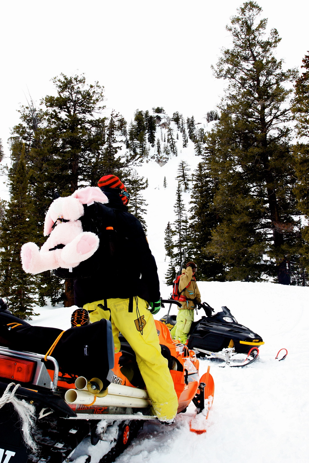 Packing up the contest