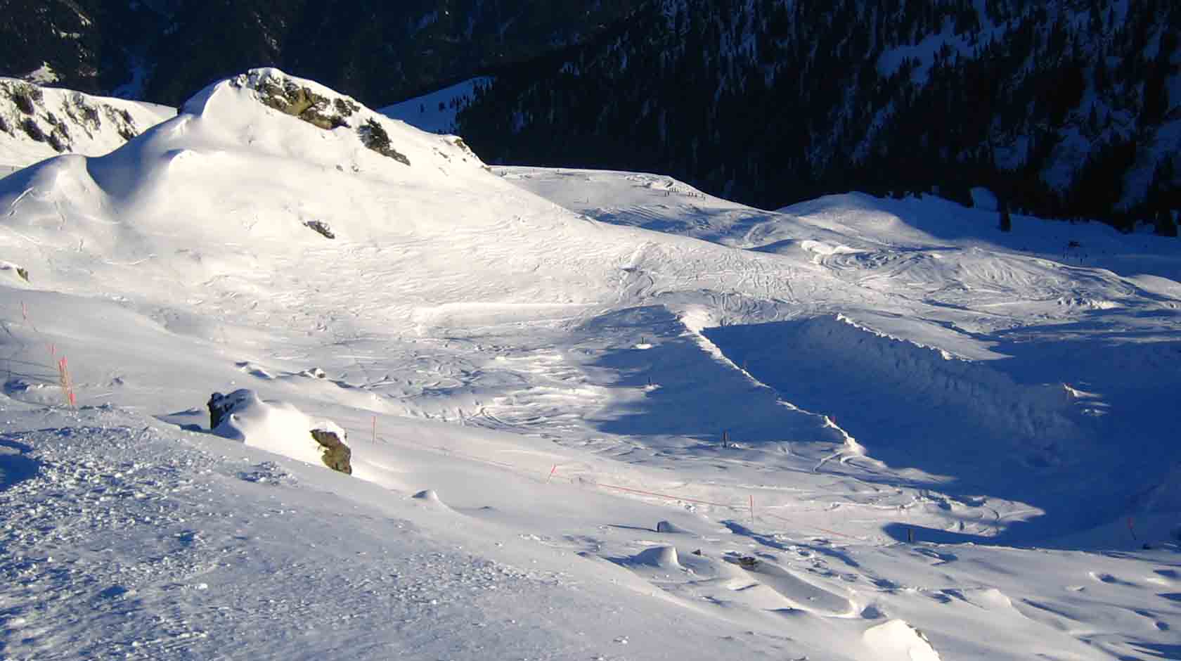 park is in the makin'