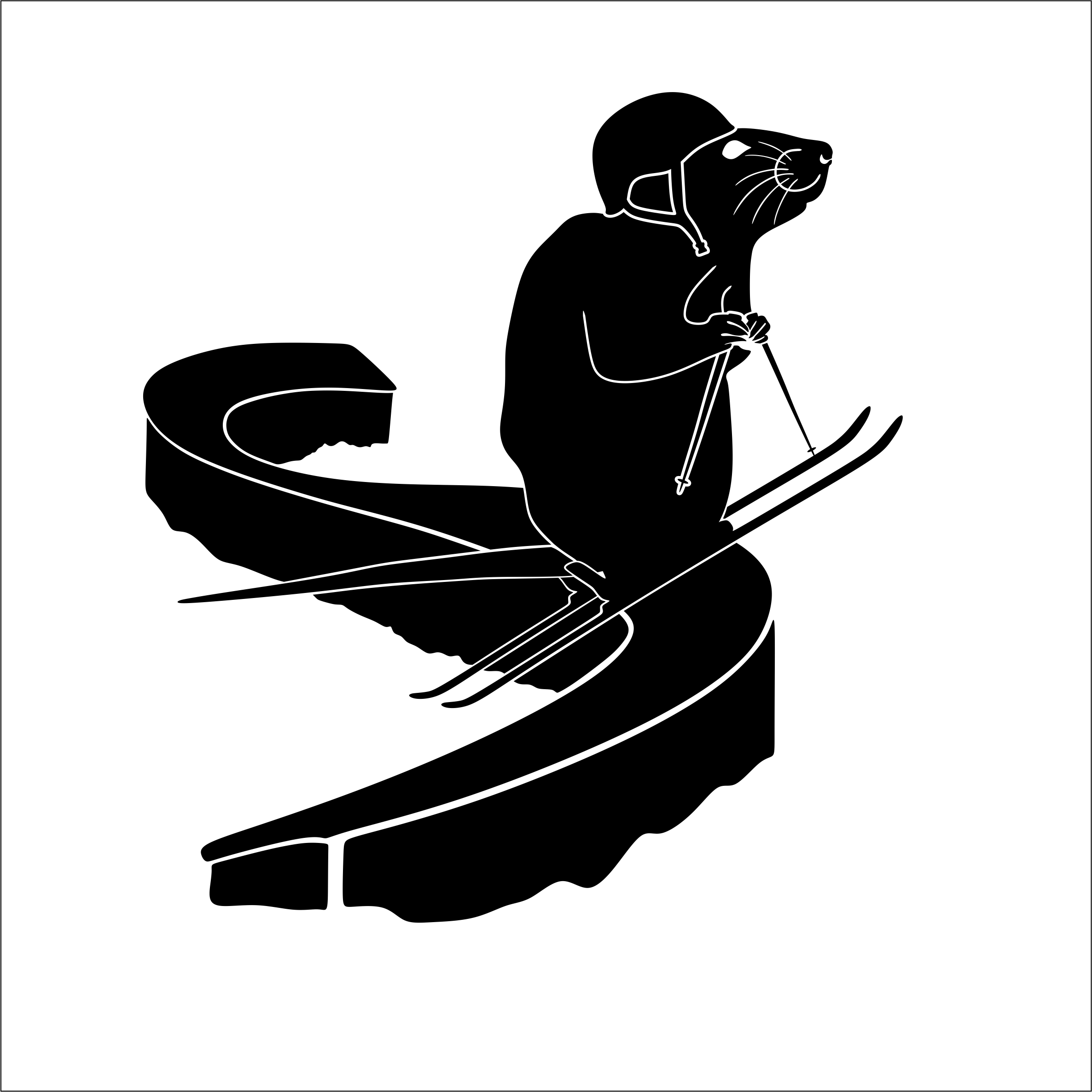 Park Rat Helmet and Poles