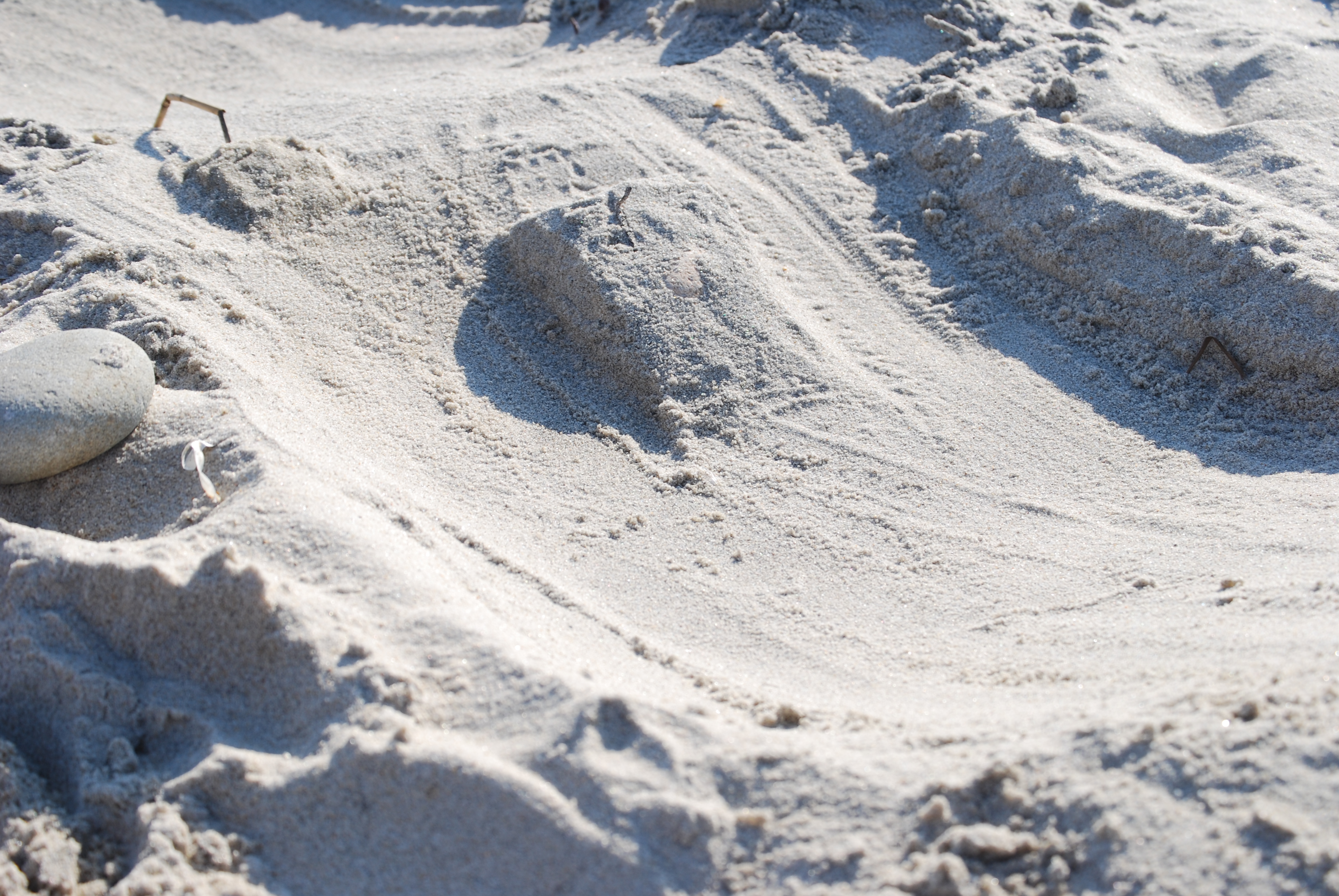 Park setup at the beach