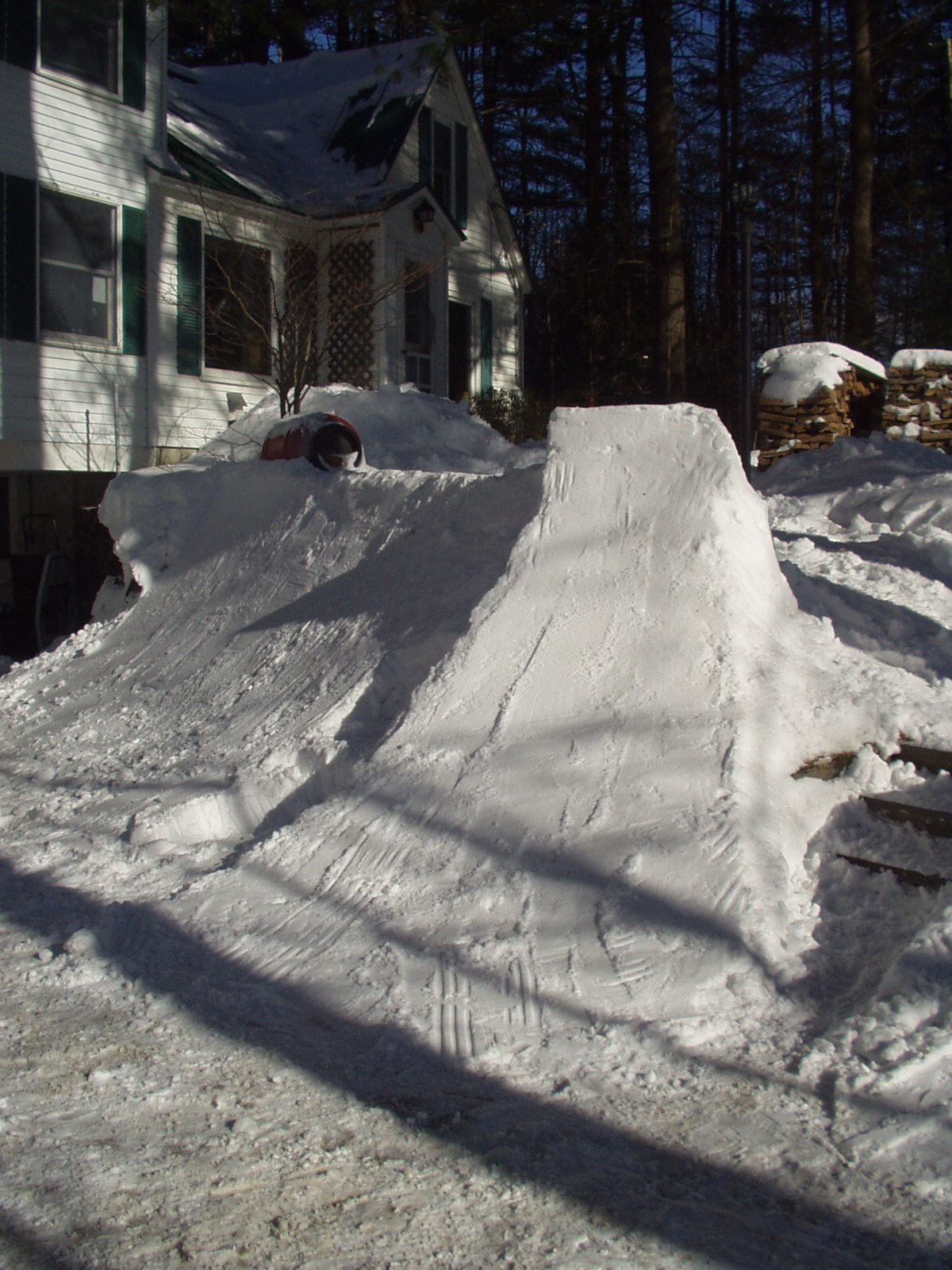 Part of the front yard