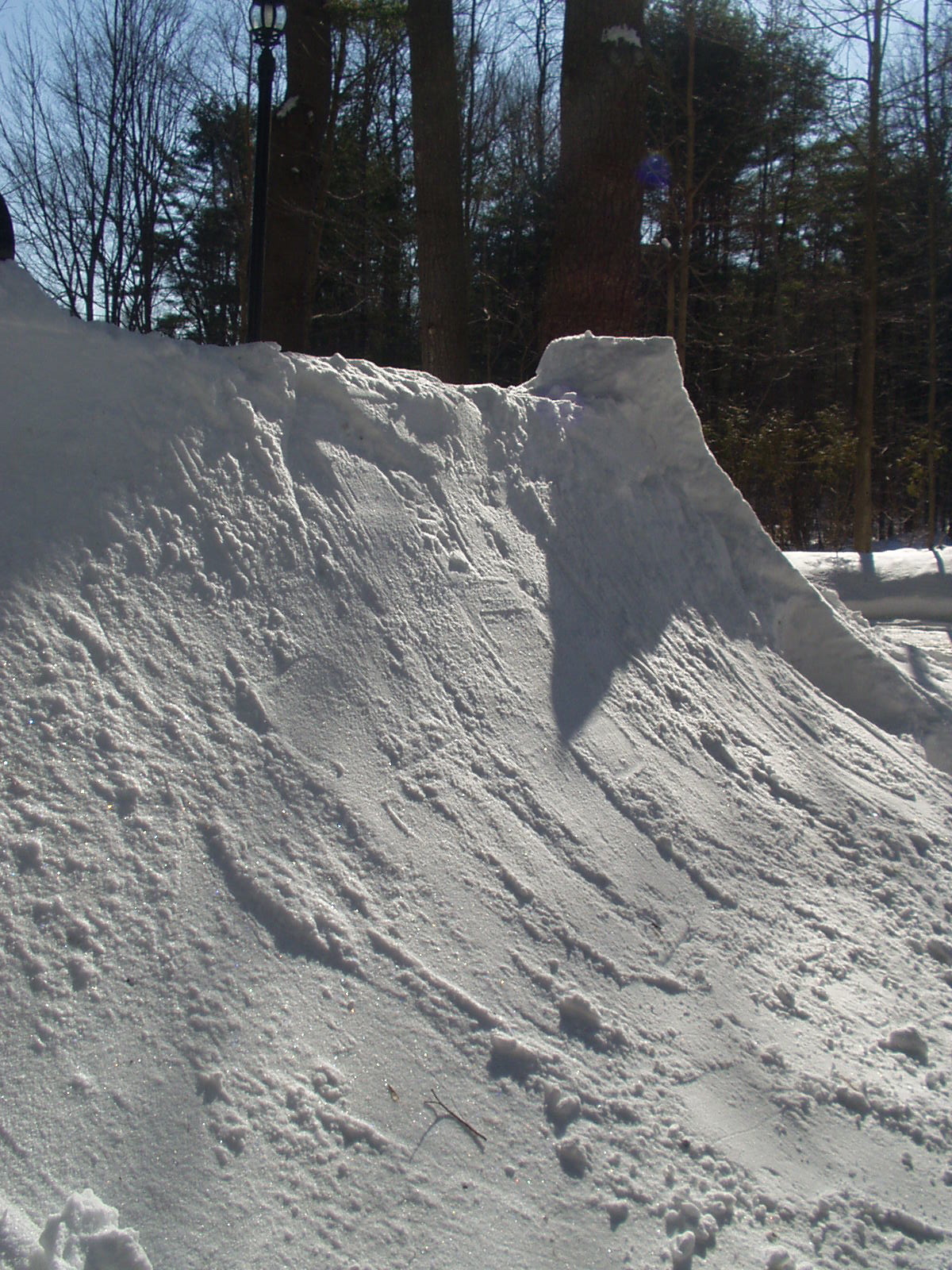 Part of the front yard