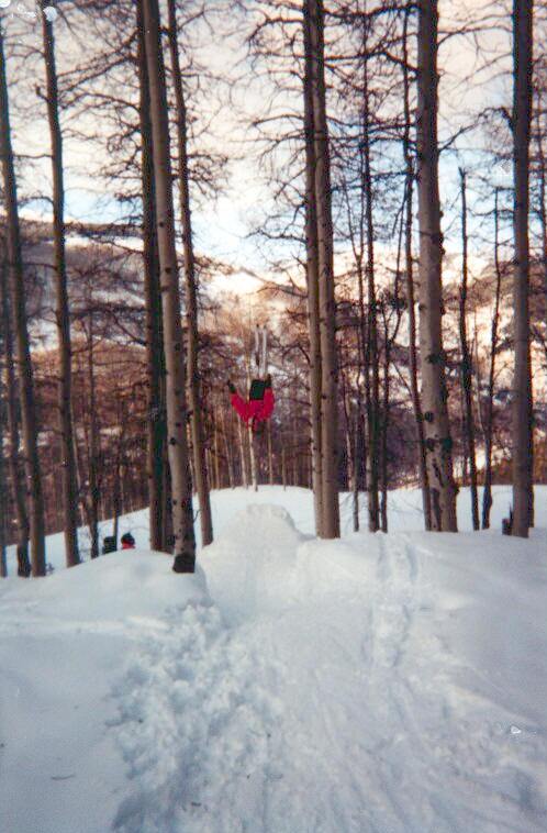 Party platform twig air.