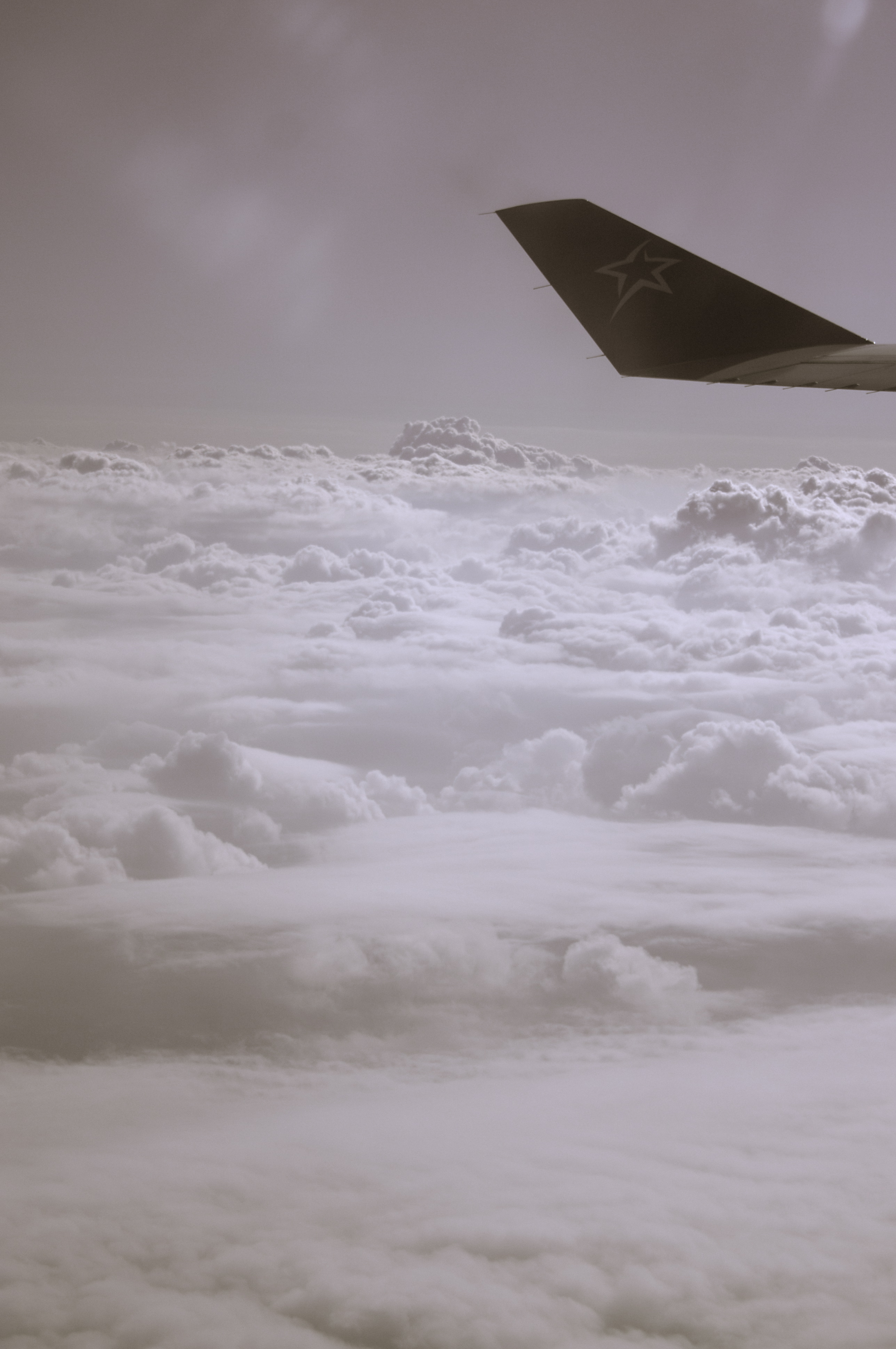 Photo Contest Week 15 Entry