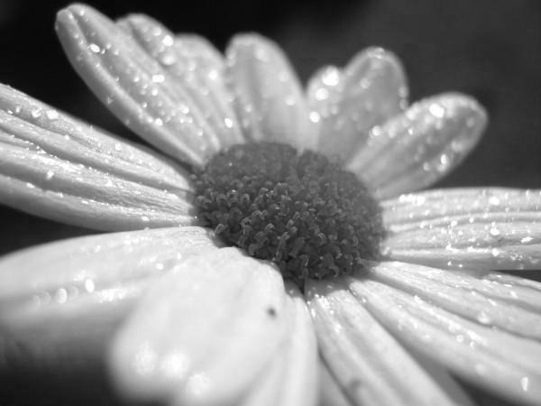 Photo Contest Week 19