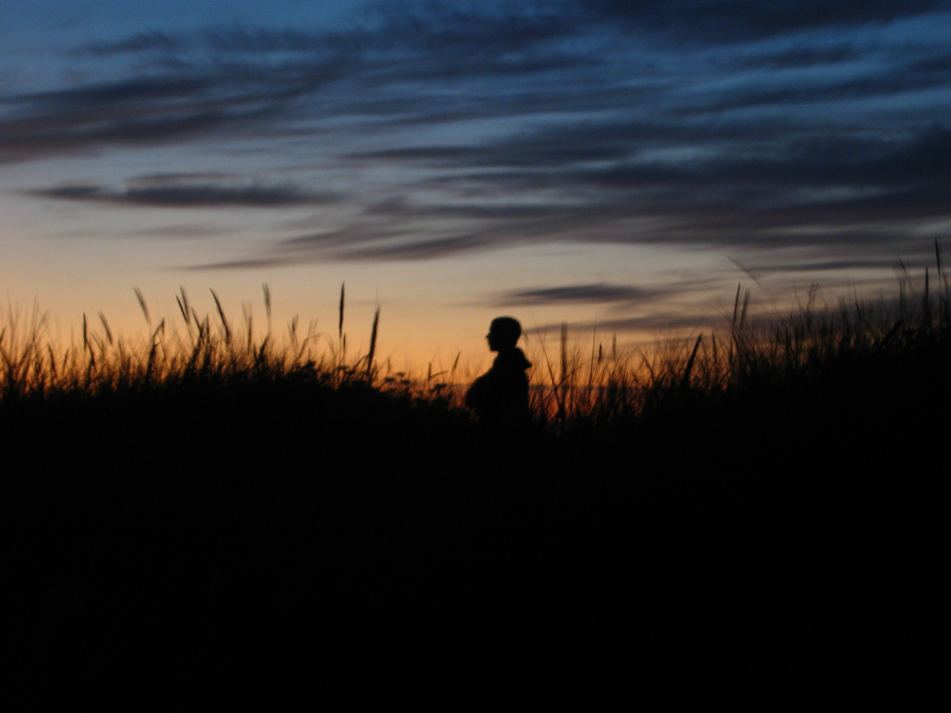 Photo for contest. Lighting.