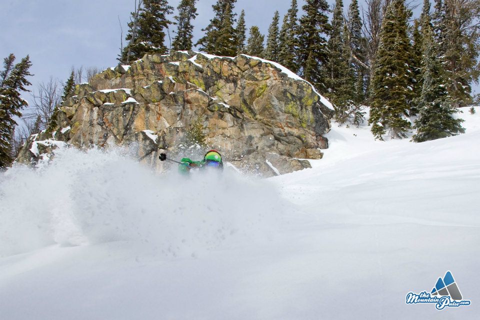 Photo of the Day 02/02/2012