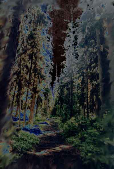 photoshop war#2(dont look at one below)