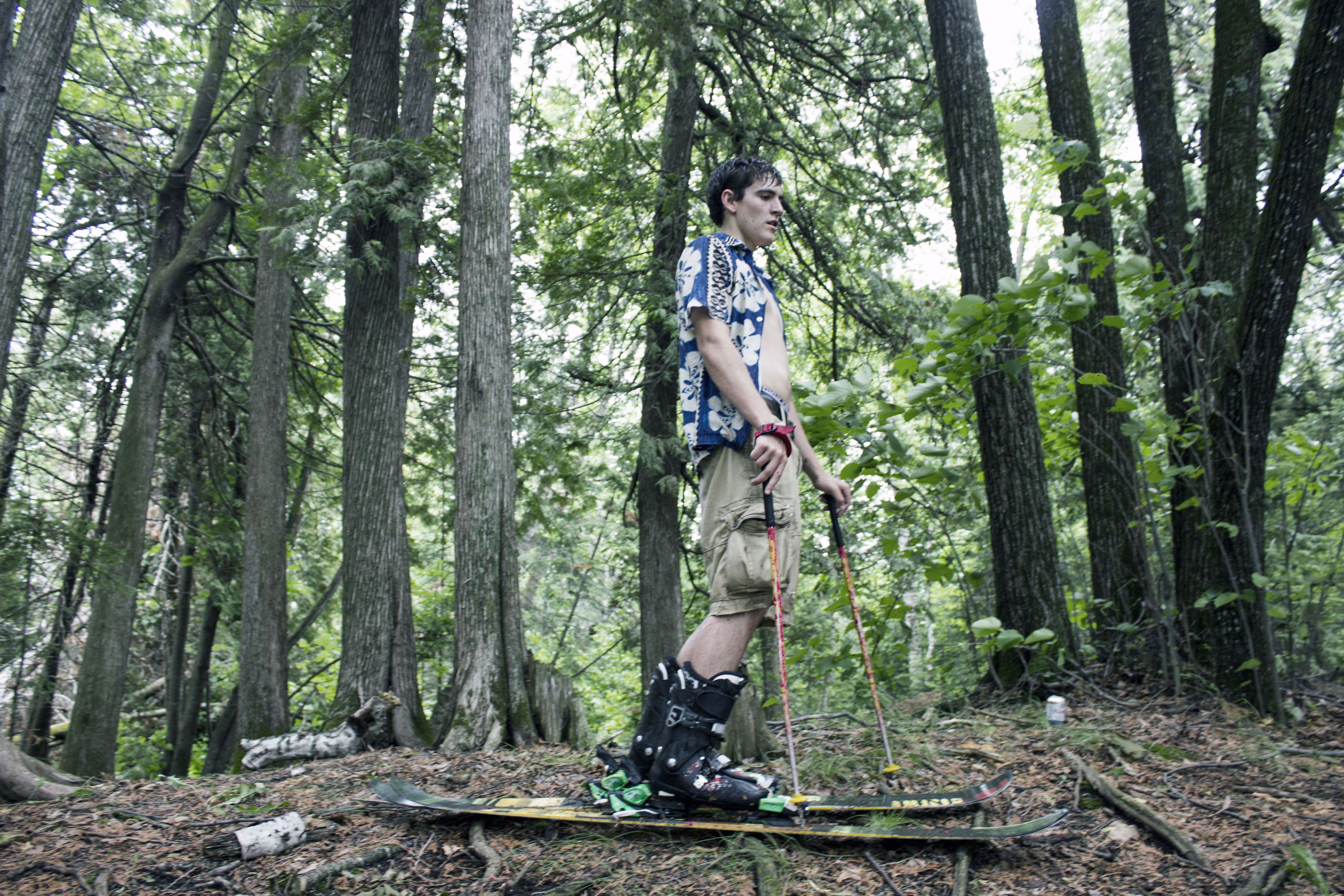 Picking Forest Lines