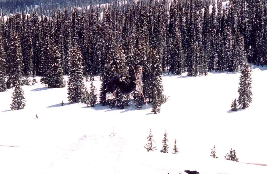 Picture: Cork 5 in the BC (4/24/04)