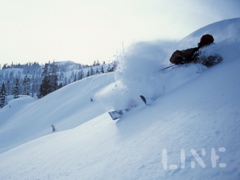 picture of my tattoo, dont delete!