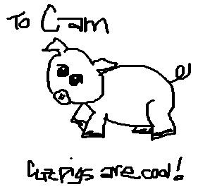 Pigs <i>are</i> Cool