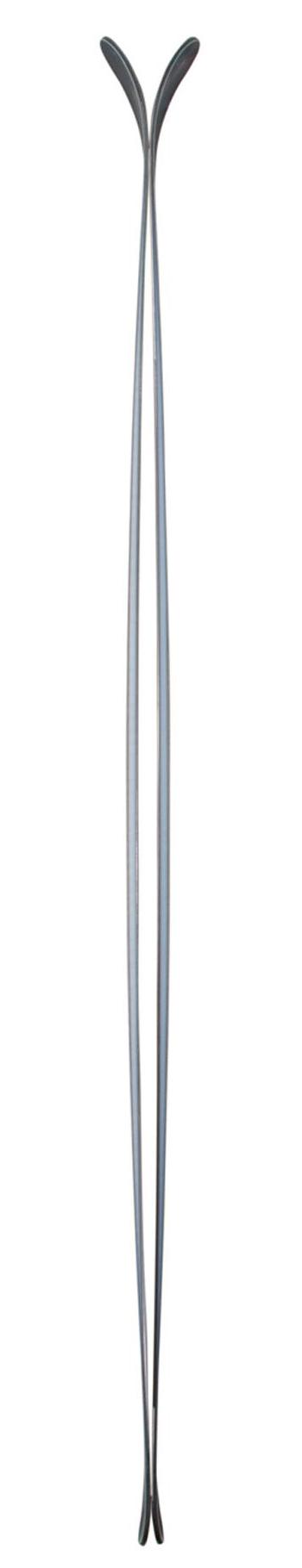 Pilgrim_camber_profile