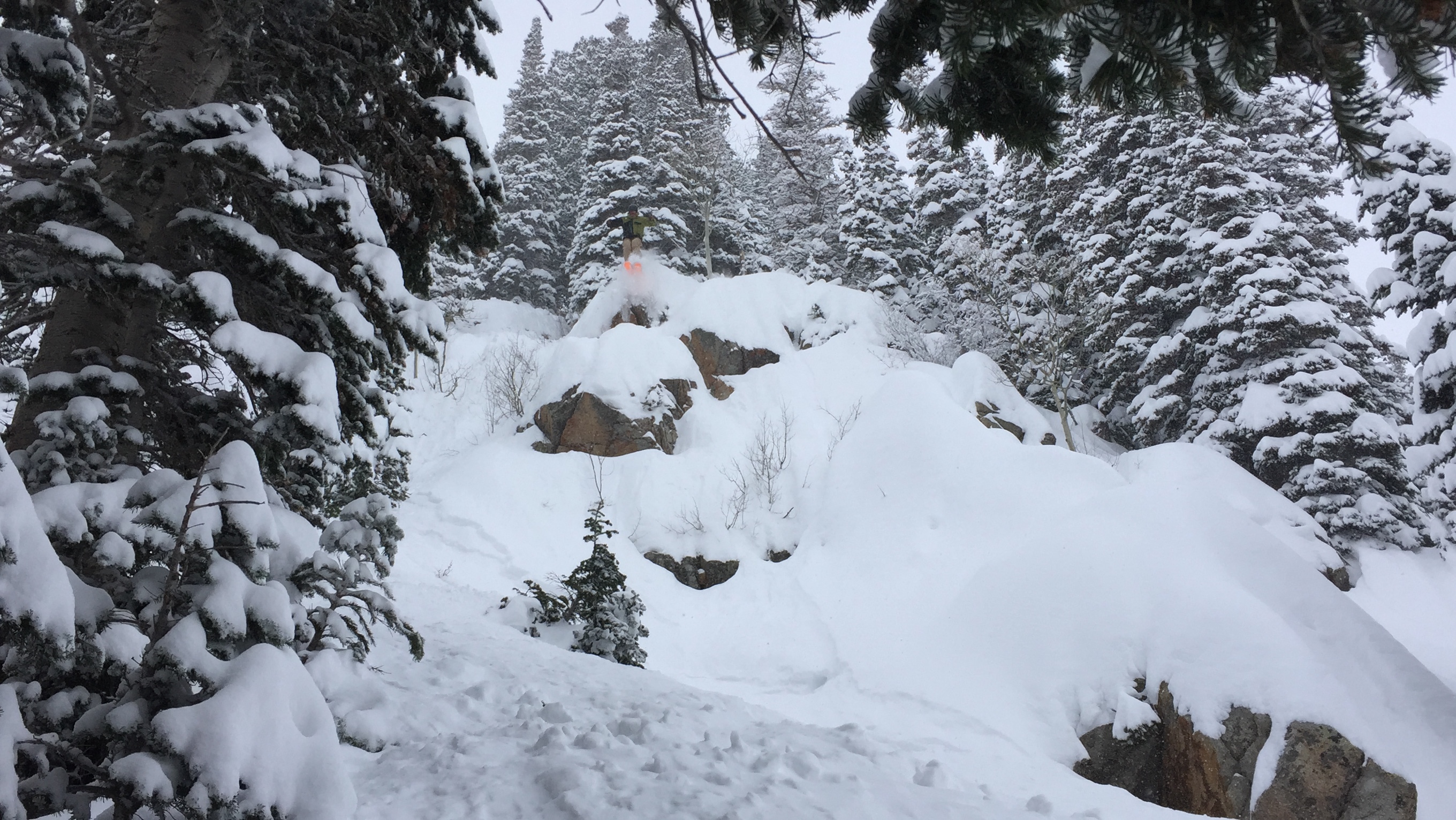 Pillow Line at The Bird