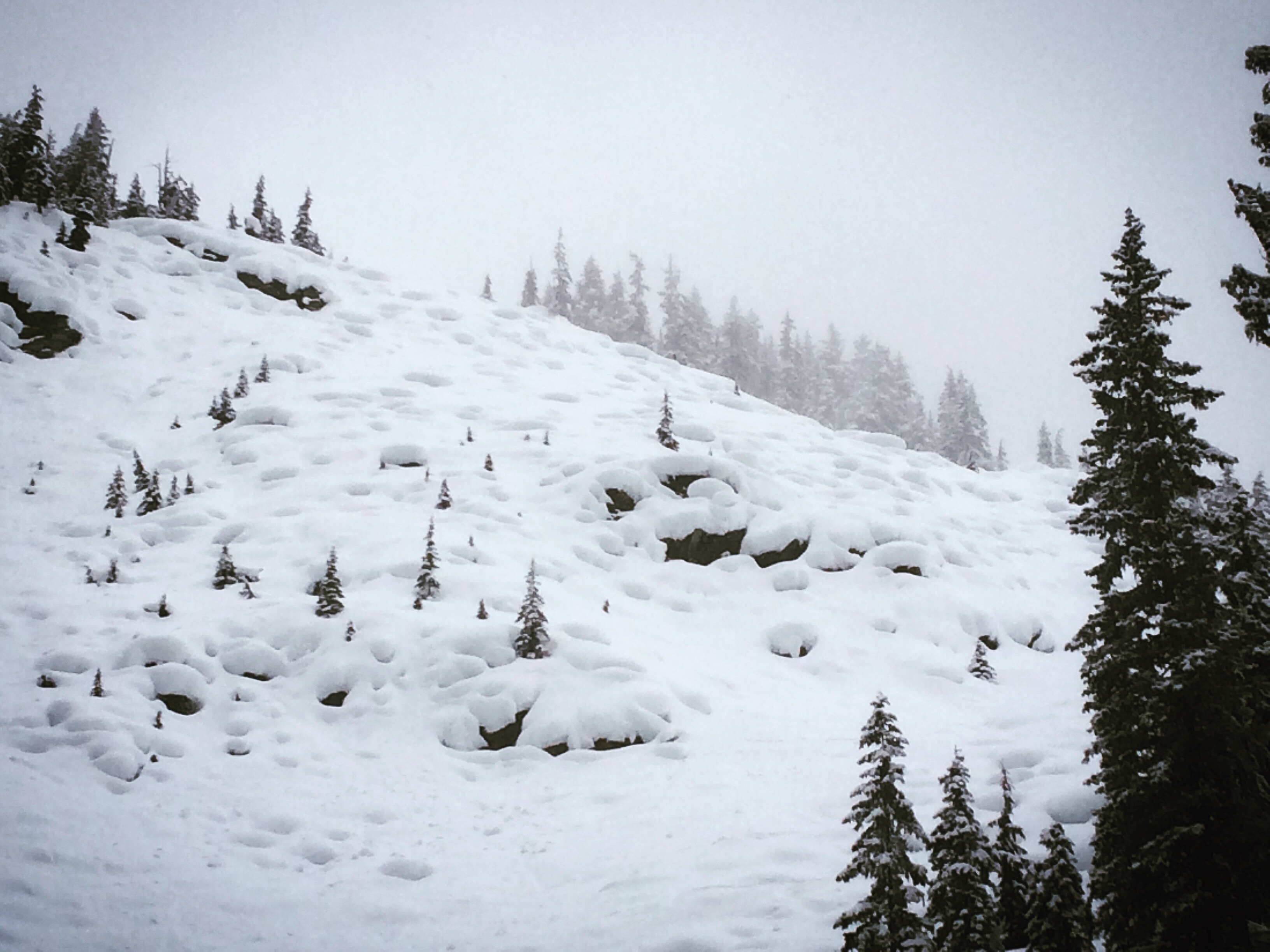 PillowLand - Would you shred this zone?