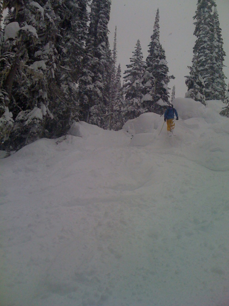 pillows revelstoke