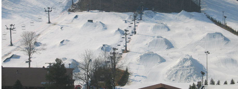 pink flamingo II camp