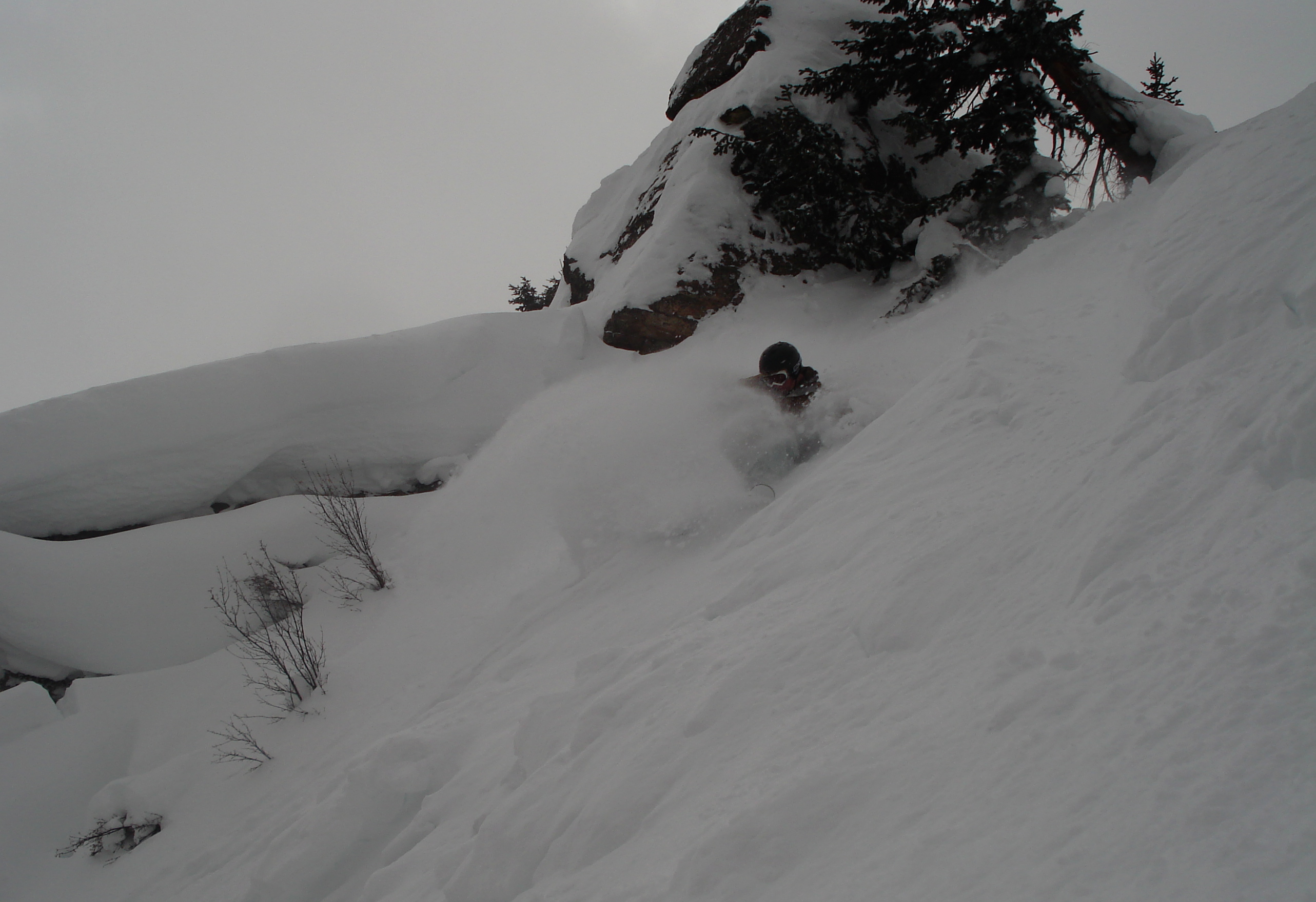 Pizza Pizza French Fry