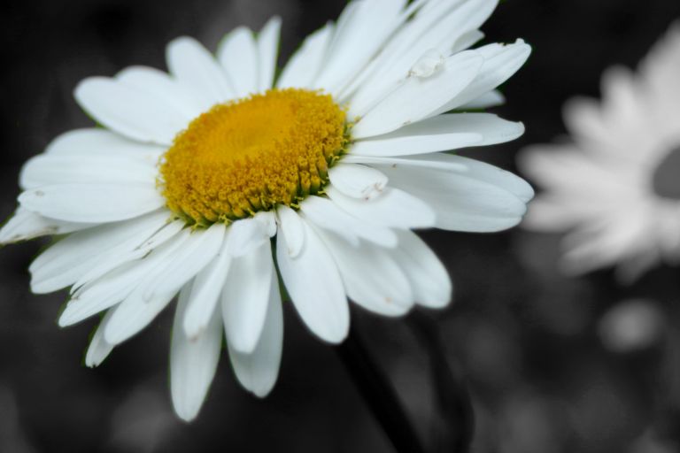 Playing around with PS