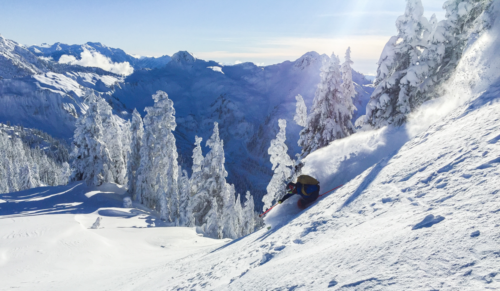 PNW in all its glory 