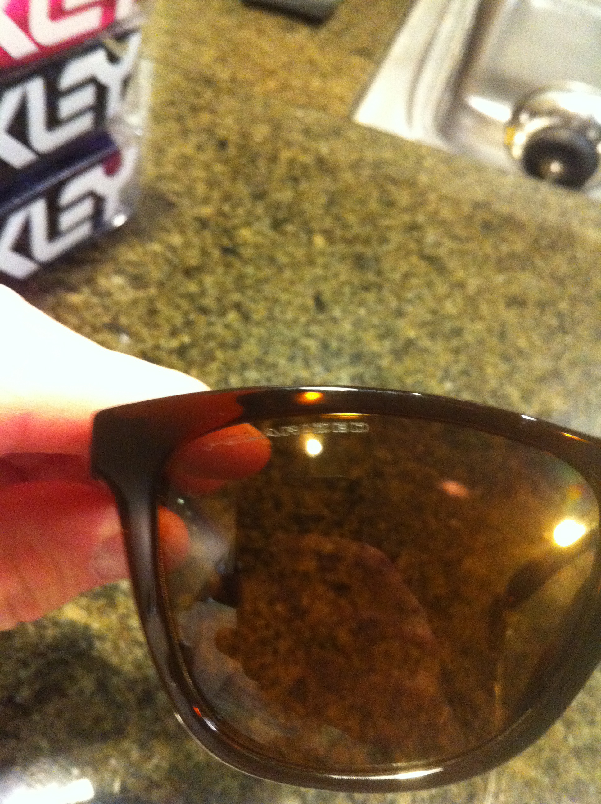 Polarized Bronze frog