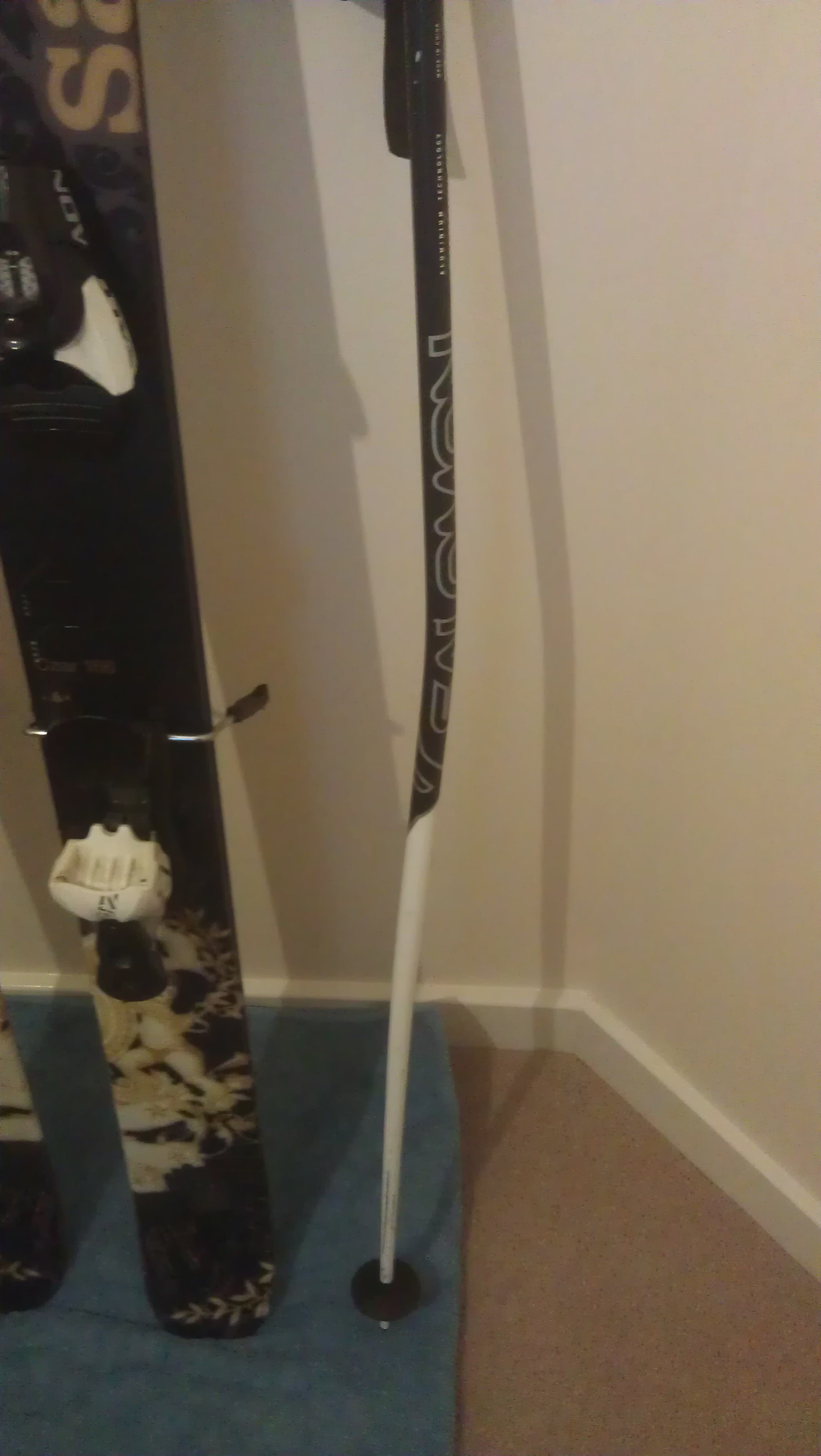 Pole after the rail sesh 2