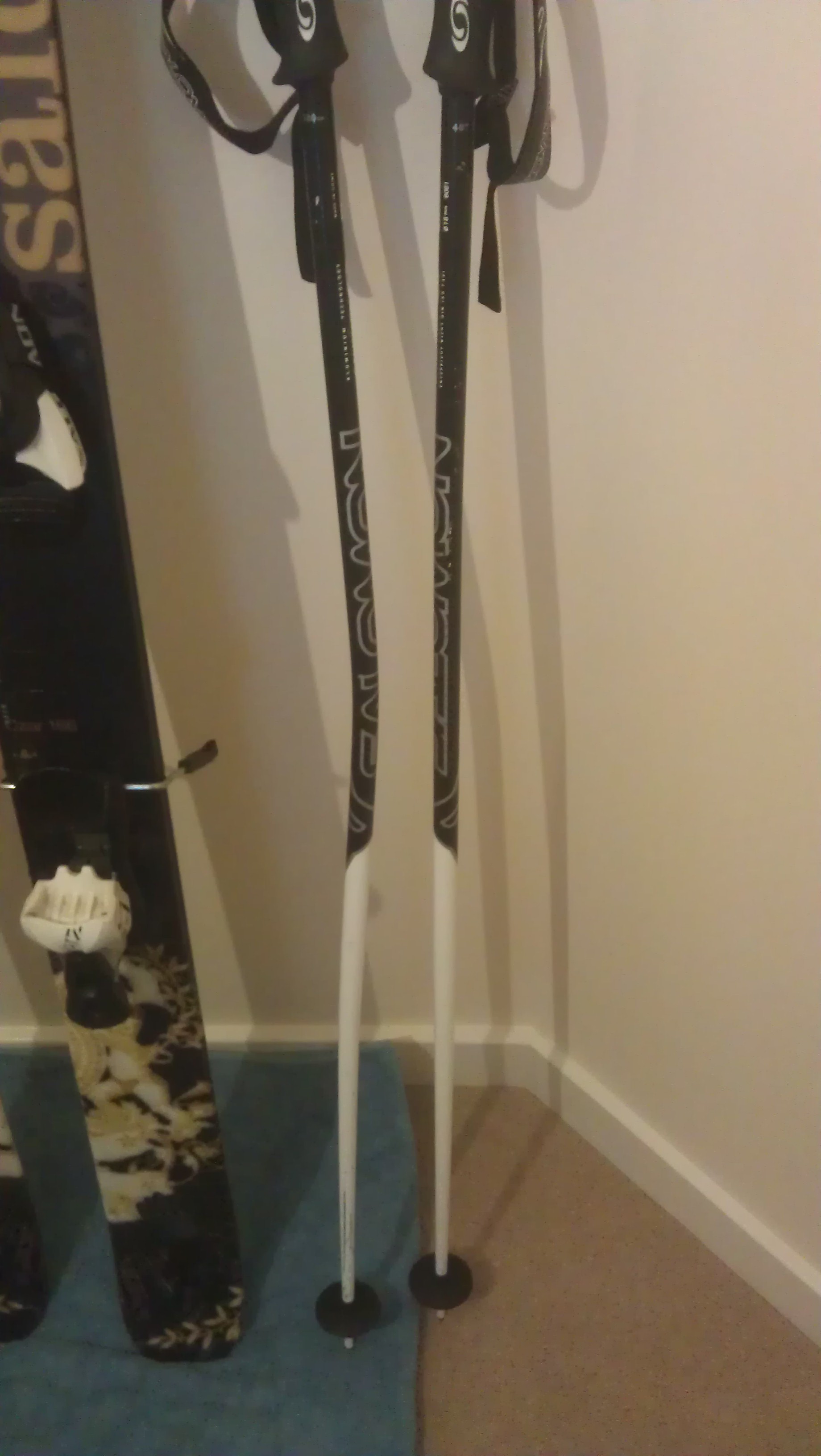 Pole after the rail sesh 3
