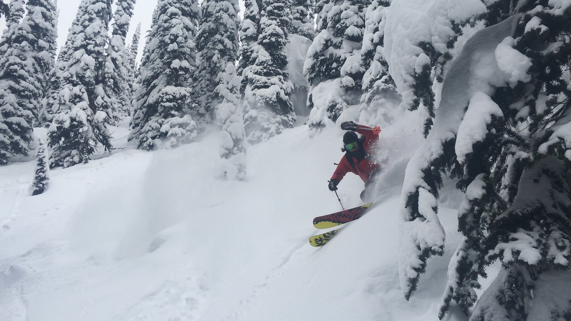 pole plant and smile