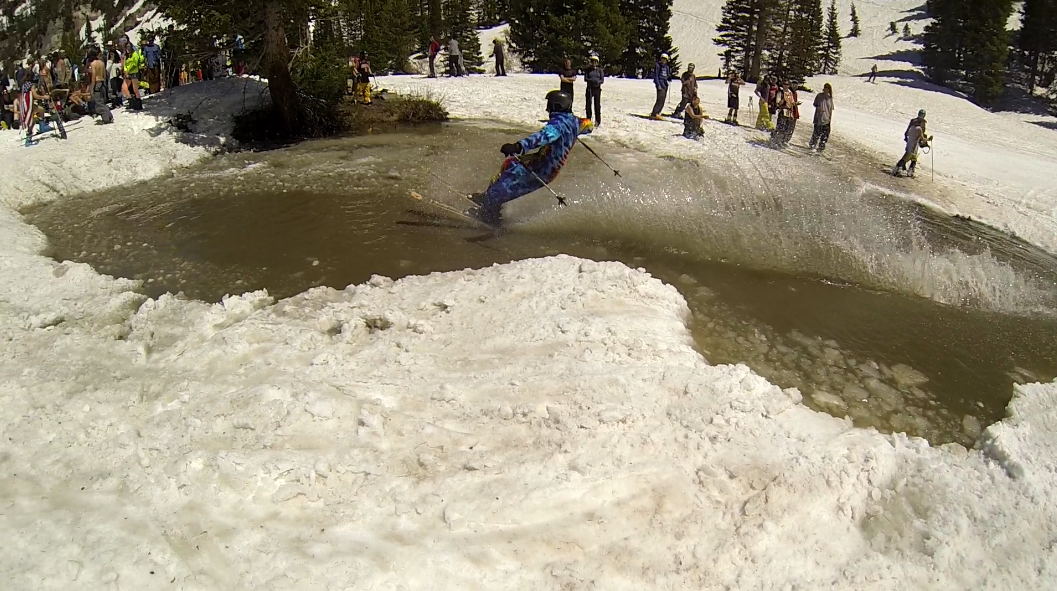 Pond Skim Snowbird
