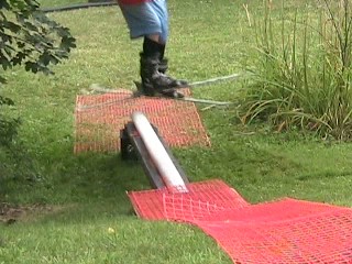 Pop but couldnt really see me