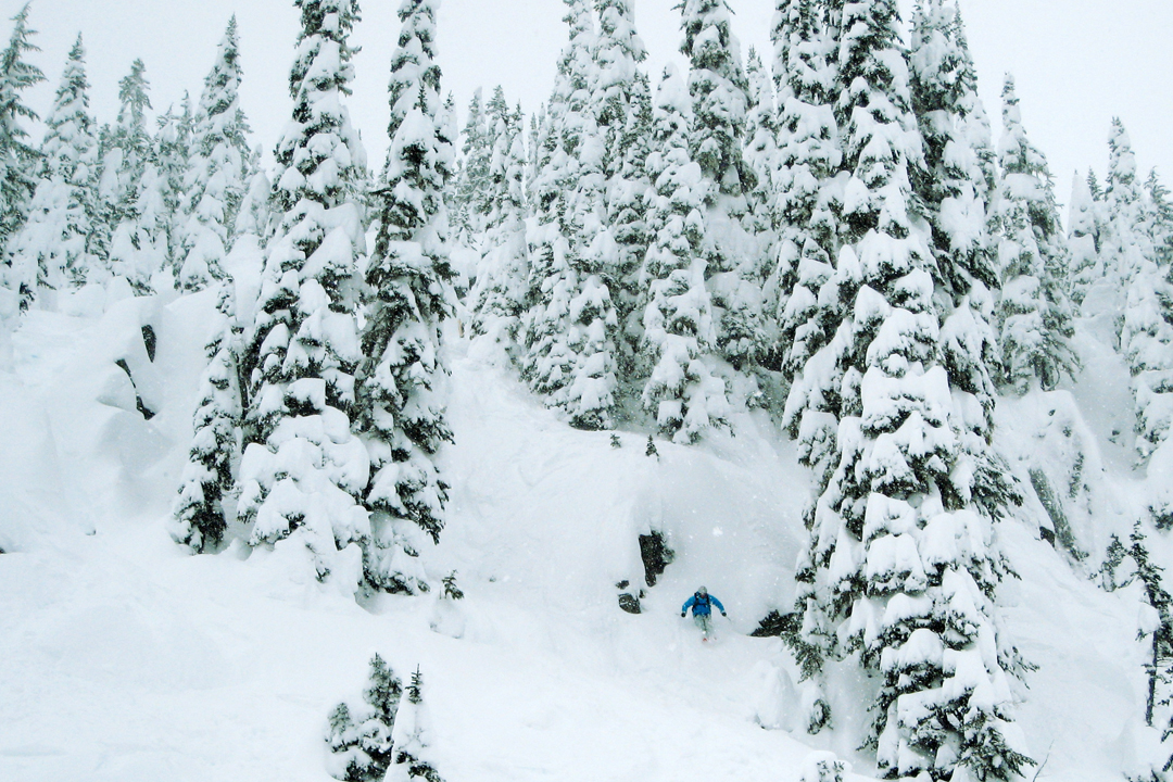 Pope Happy He Drove From Jackson