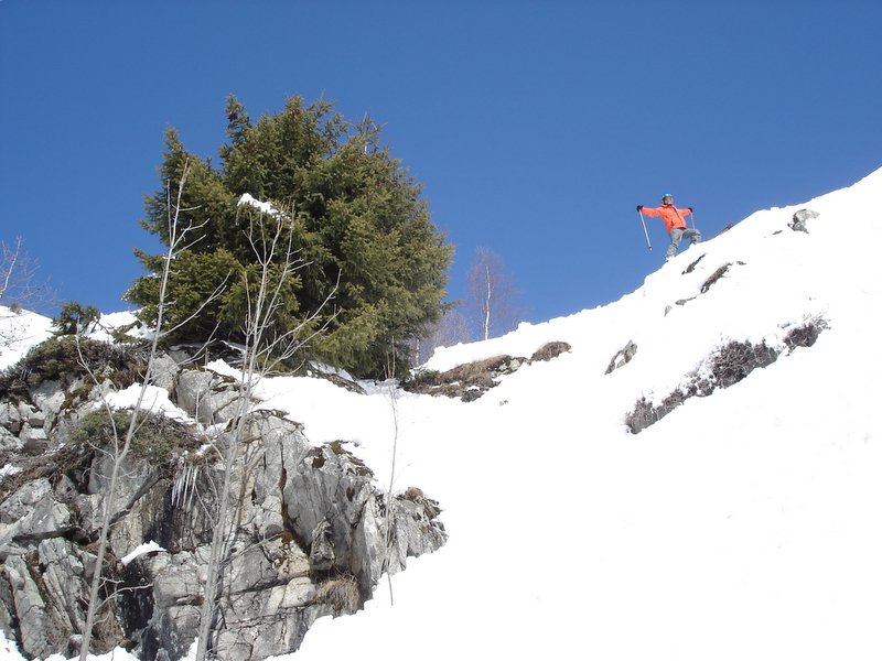 Posing For A Nice Pic