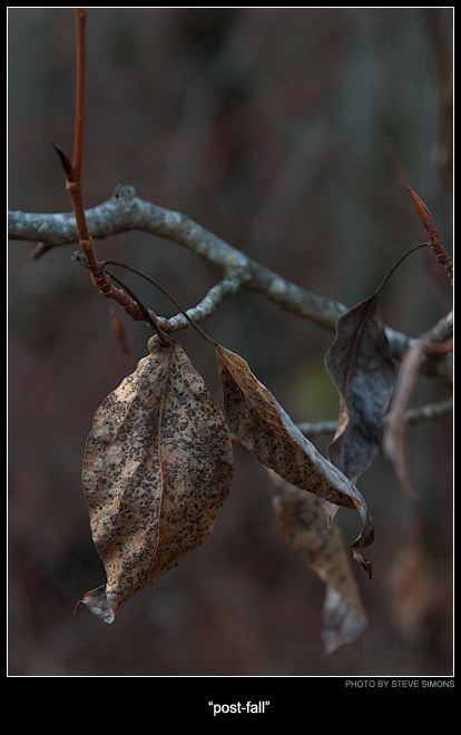 Post-Fall