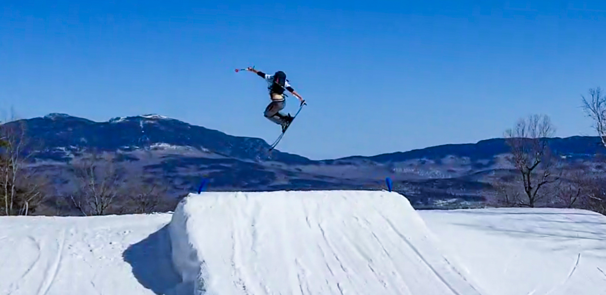 Potato Quality Camera 