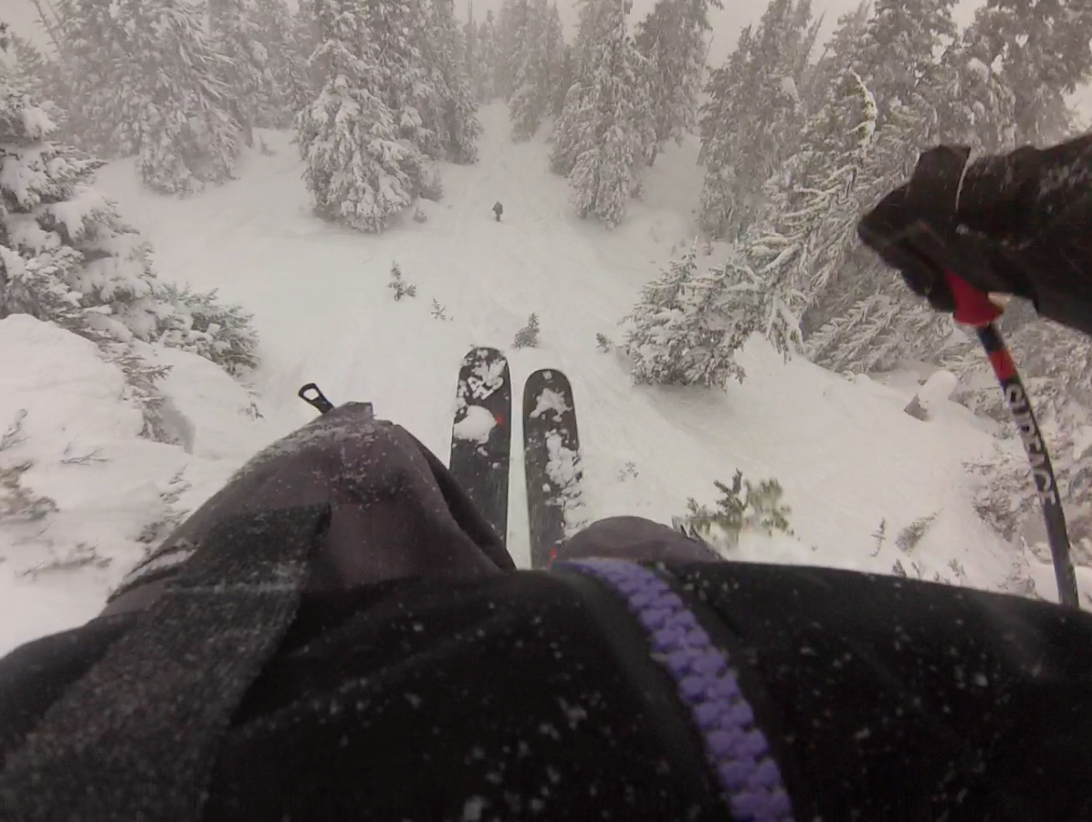 pov vd trees whistler