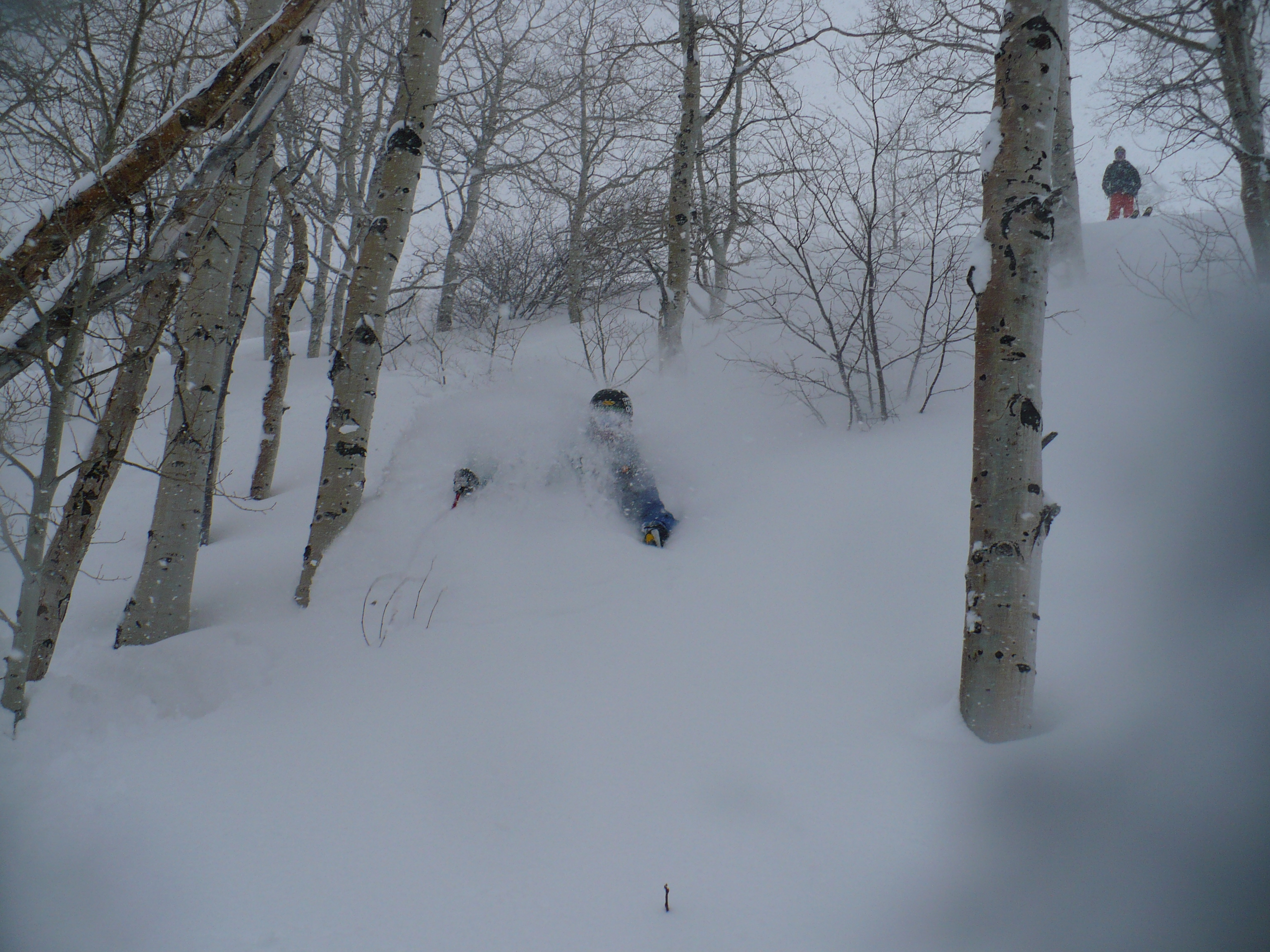 Pow at Park City