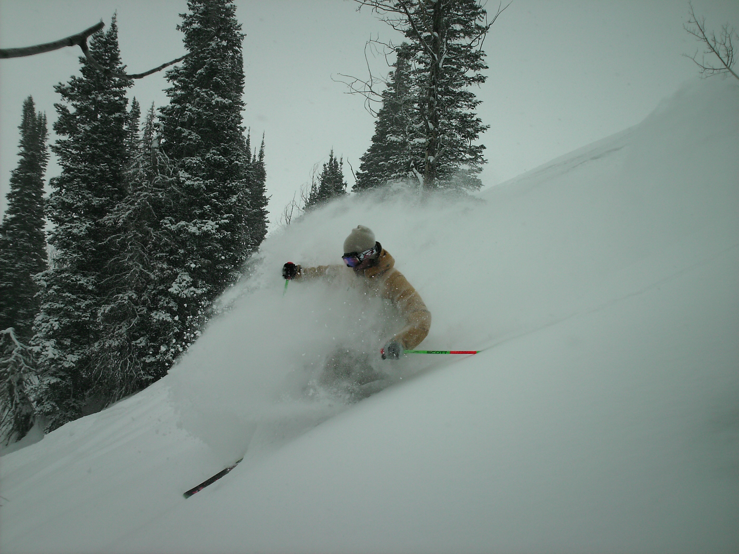 Pow at snowbasin