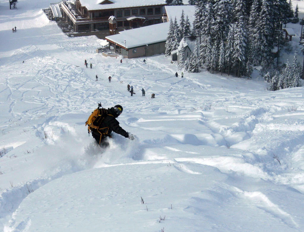 Pow at Stevens