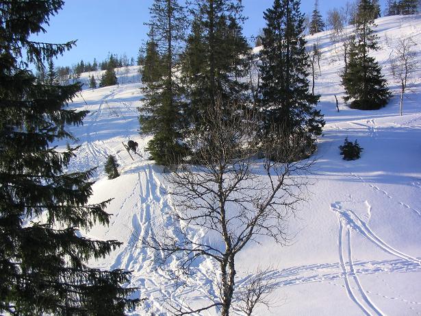 POW-cork3 inside safety