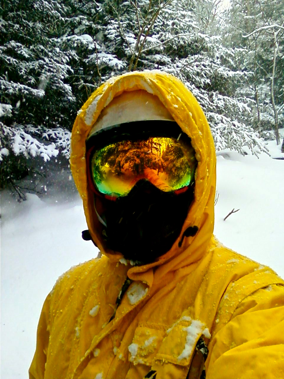 Pow Day In April.....