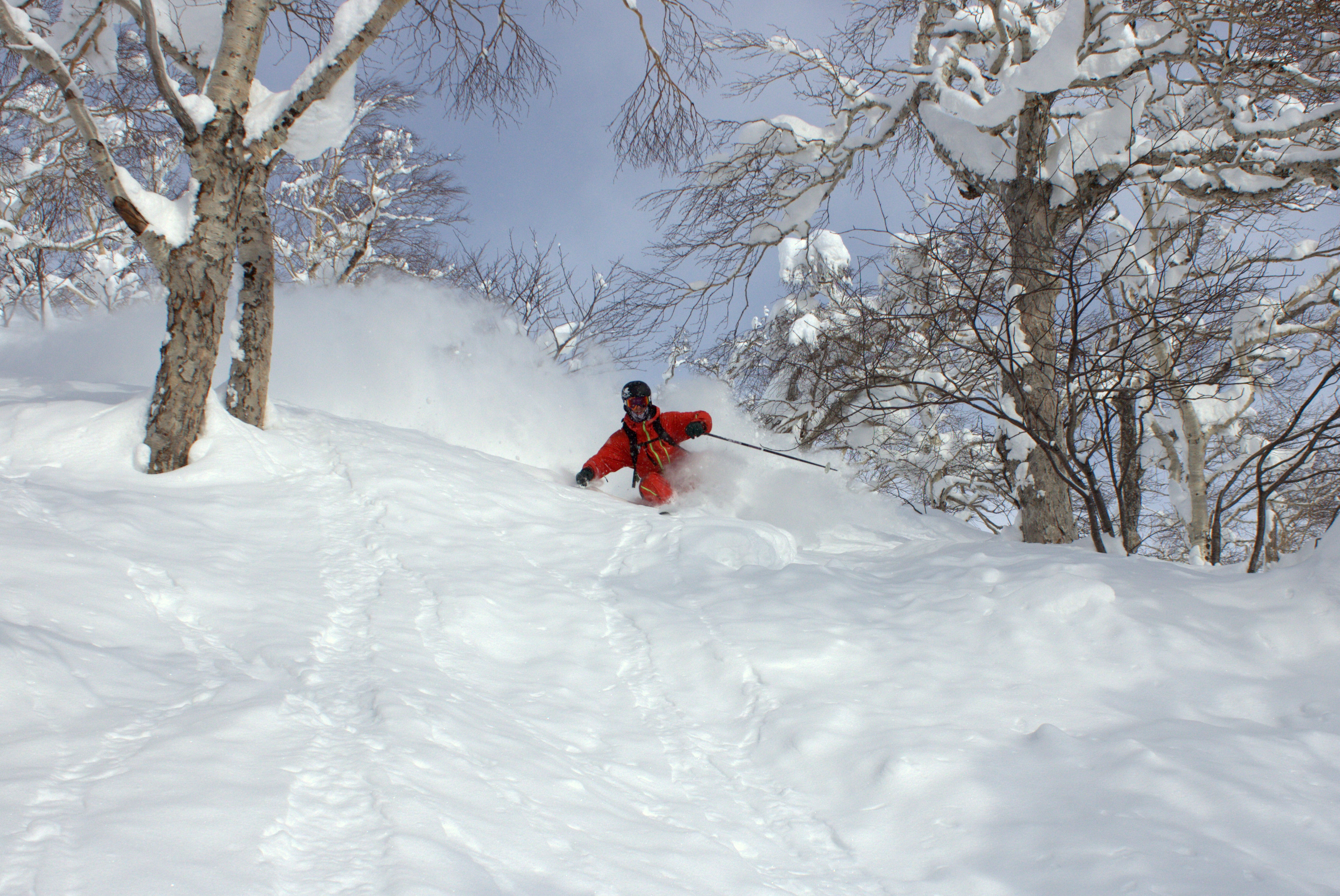Pow field at Asahidake