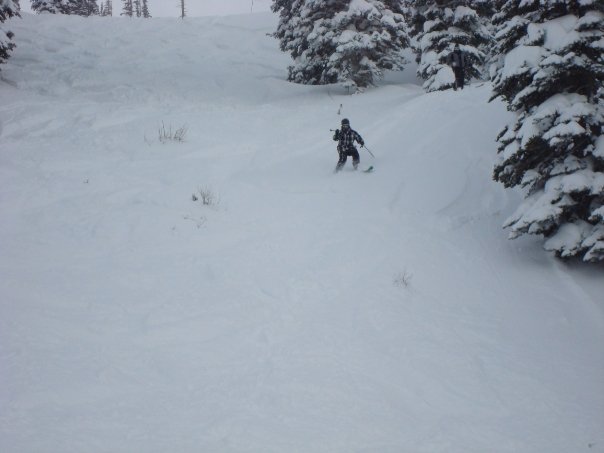 Pow in Snowbird