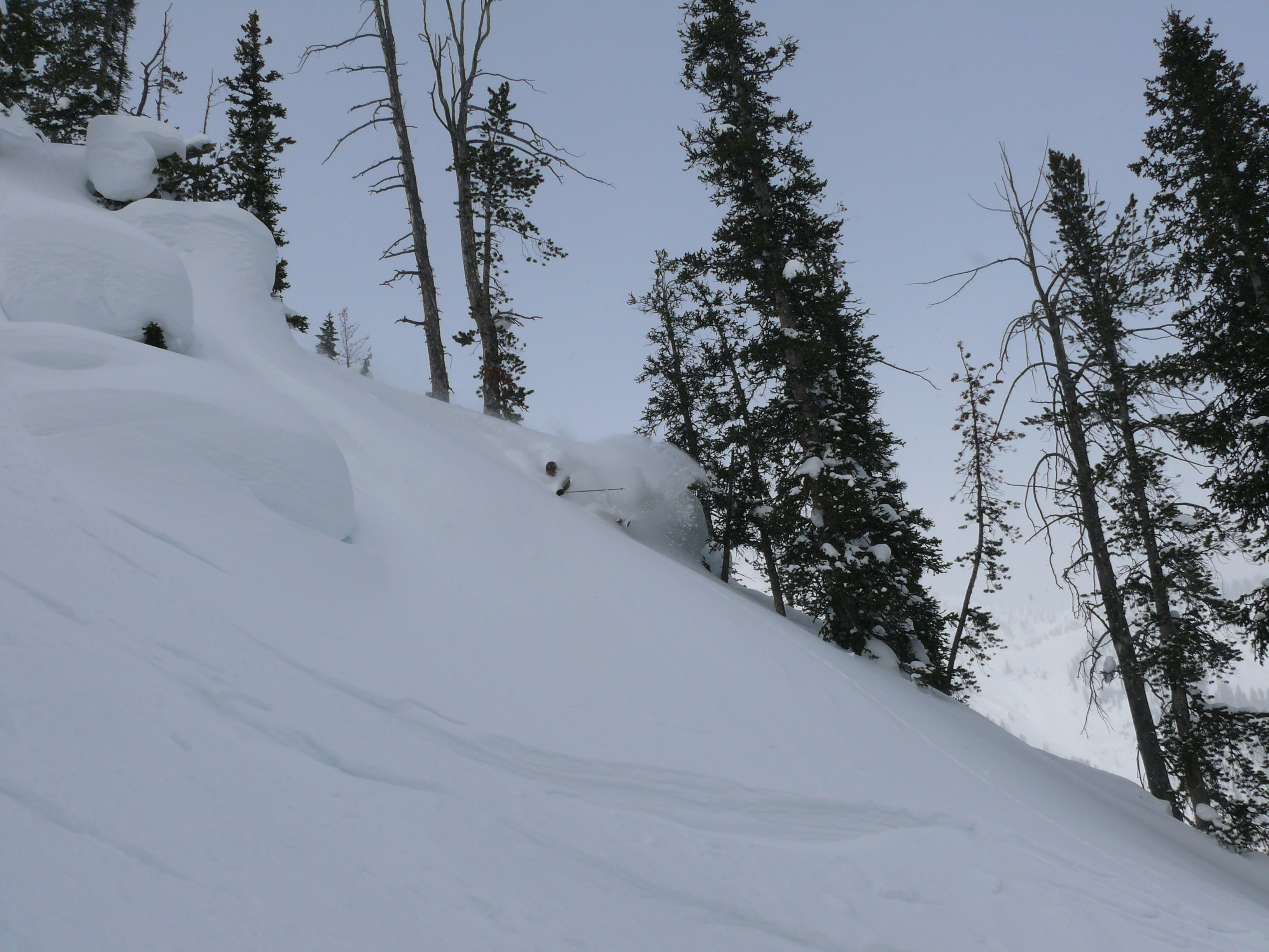 Pow shot in Jackson Hole, WY