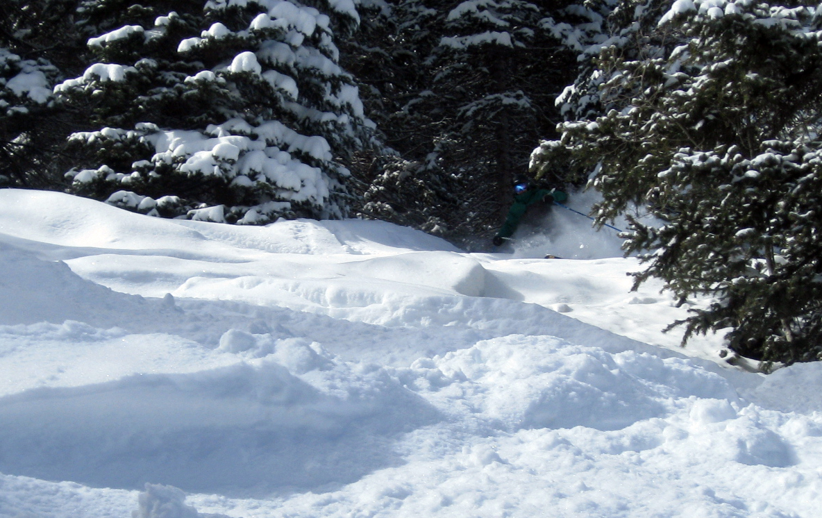 Pow Shreddin - 5